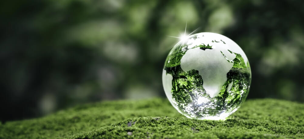 Globe with green background